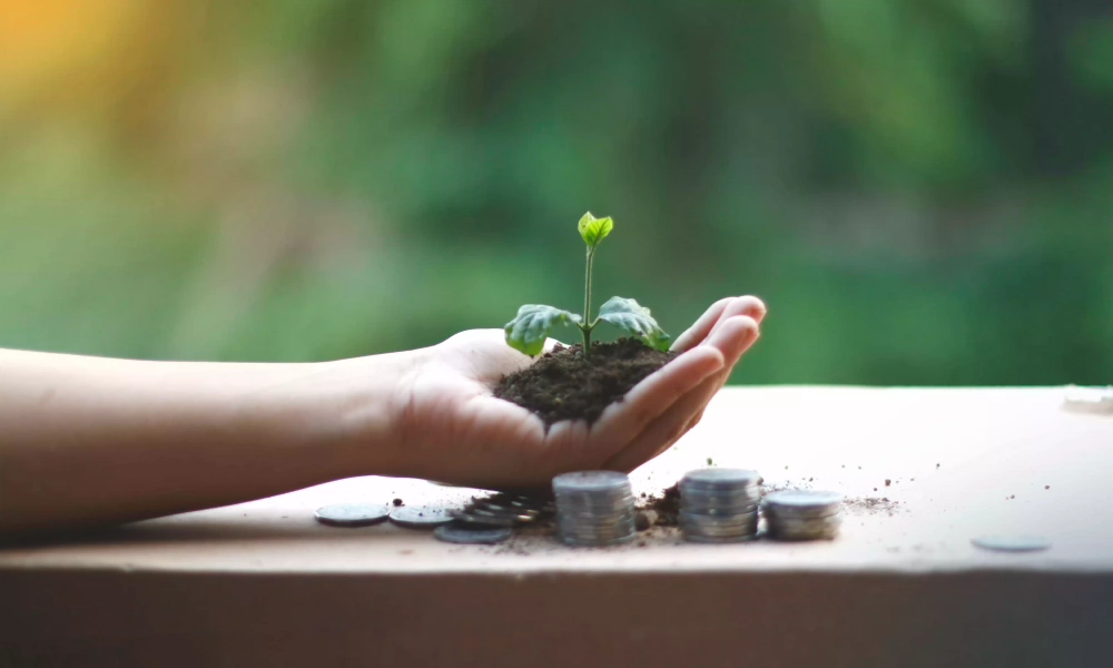 Groene investering